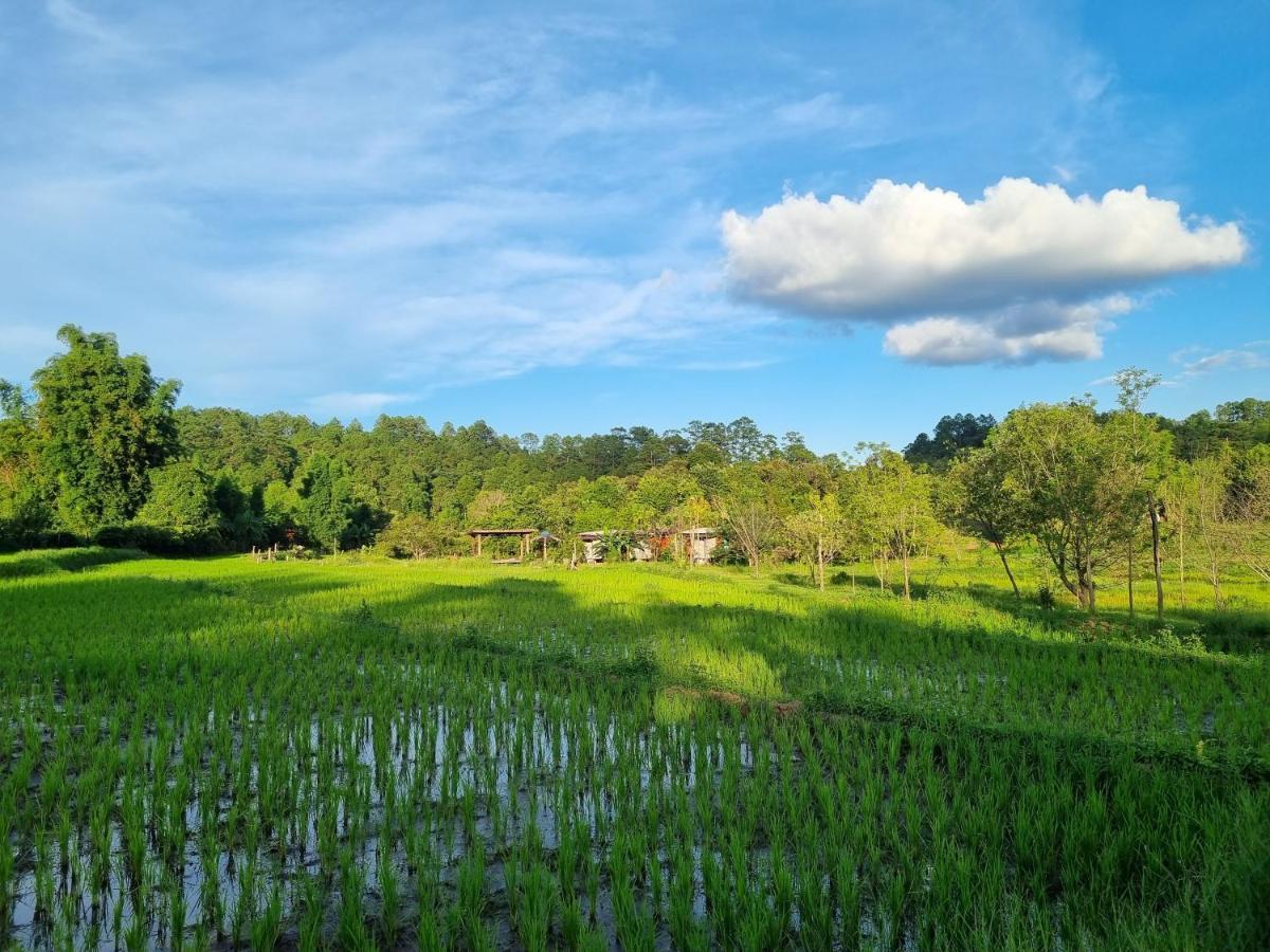 Nongtao Homestay *